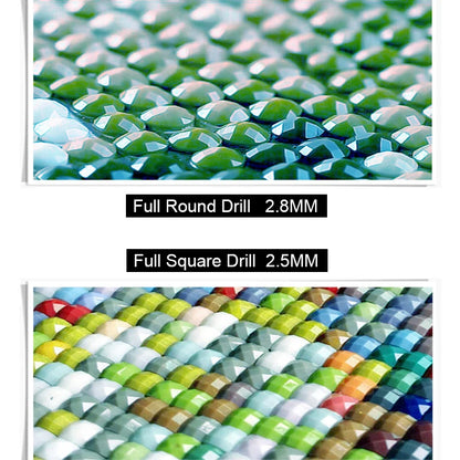 Tableau diamant Evoli et evolutions