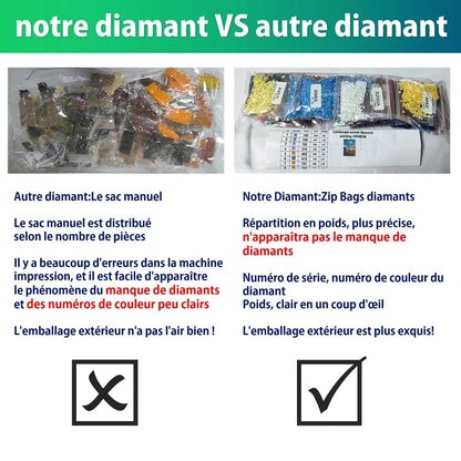 Tableau Diamanté Bebe Dracaufeu